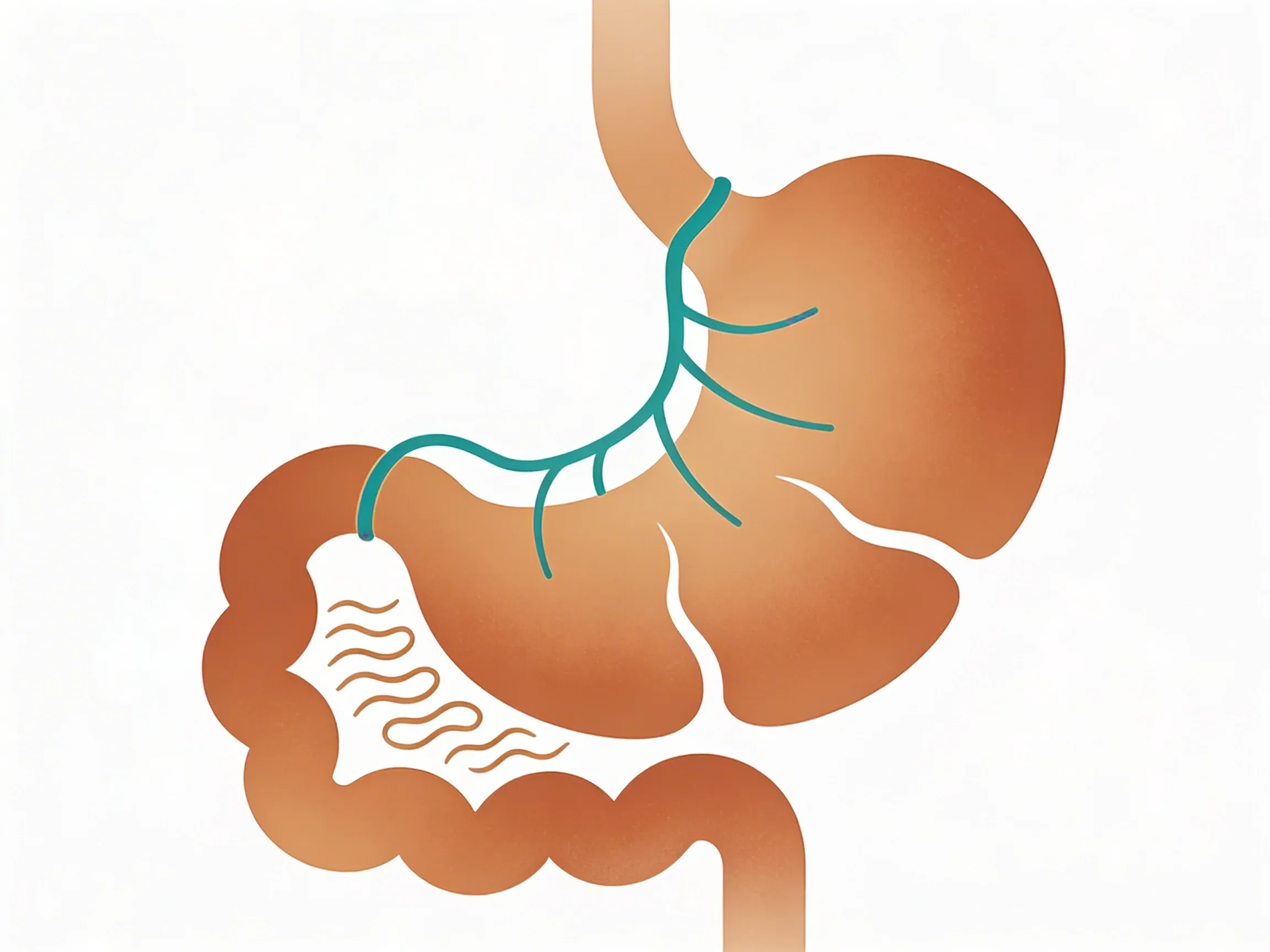 Hero image for Is Your Vagus Nerve the Secret to Better Digestion?