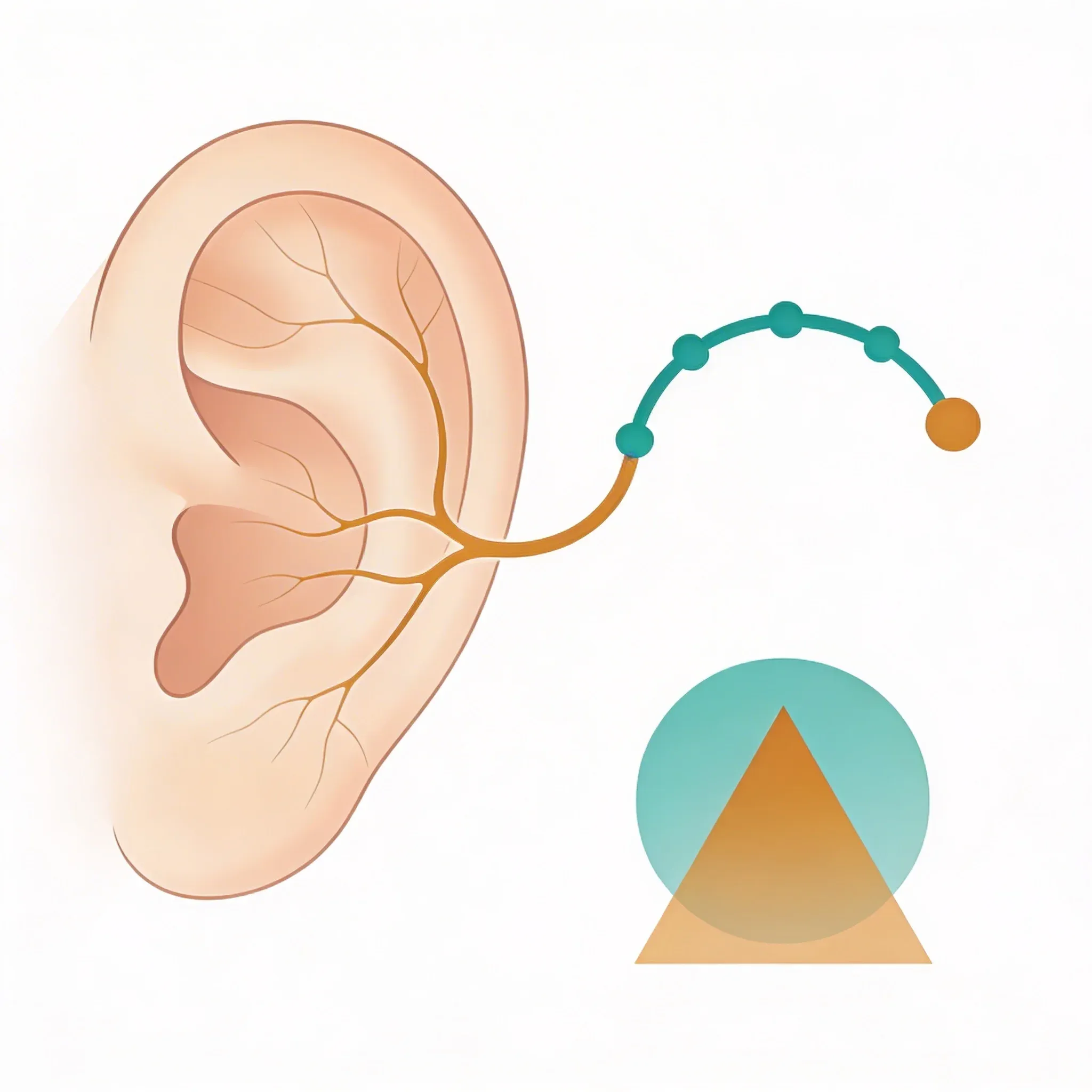 Hero image for Can Ear Stimulation Really Reduce Chronic Pain?