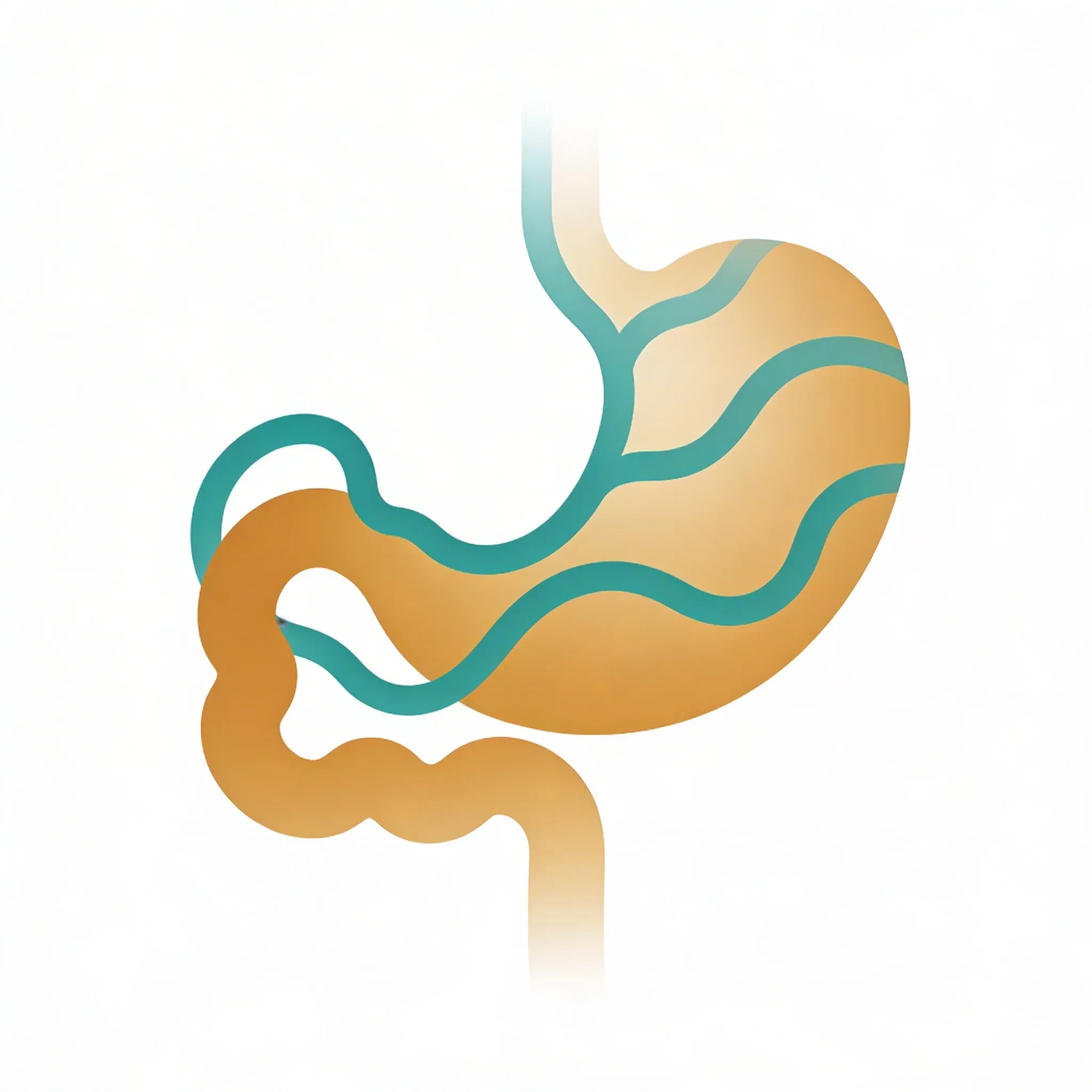 Hero image for Can Stimulating One Nerve Really Fix Your Gut?