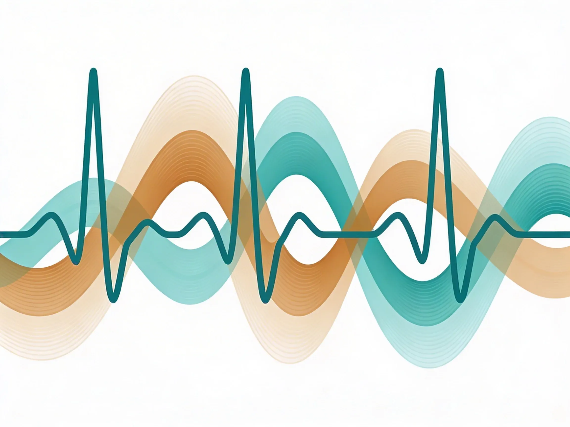 Hero image for What Your Heart Rate Variability Reveals About Stress