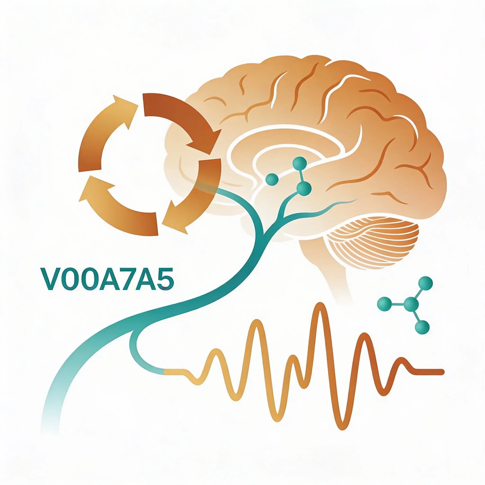 Hero image for How Your Vagus Nerve Controls Sleep (The Science Explained)